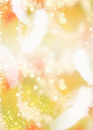 party background - Feather Stock Photo - Premium Royalty-Free, Code: 670-02118470
