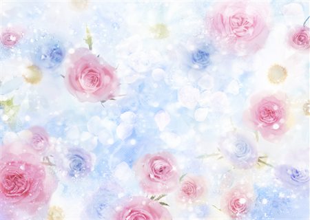 Light pink roses petals background Stock Photos - Page 1 : Masterfile