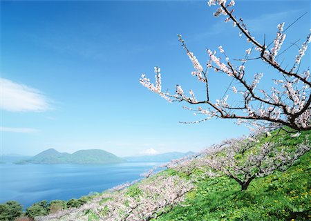 Lake Toya Stock Photo - Premium Royalty-Free, Code: 670-02120992