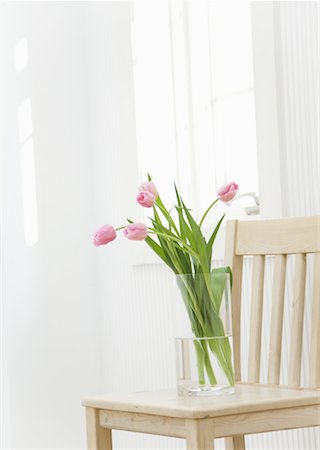 Tulips Stock Photo - Premium Royalty-Free, Code: 670-02309701