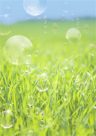 ecology - Globe and glassland Stock Photo - Premium Royalty-Free, Code: 670-02310722