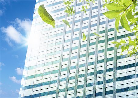 Tall building and leaves Stock Photo - Premium Royalty-Free, Code: 670-02310768