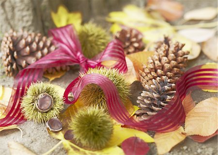 Arrangement automne Photographie de stock - Premium Libres de Droits, Code: 670-03235158