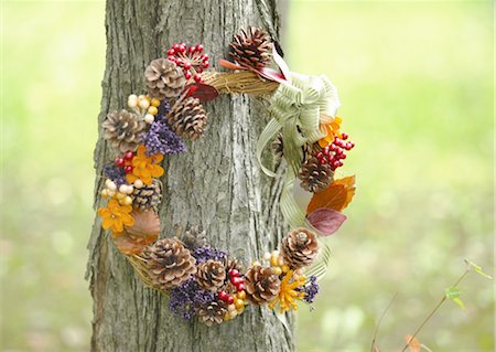 Wreath Stock Photo - Premium Royalty-Free, Code: 670-03235159