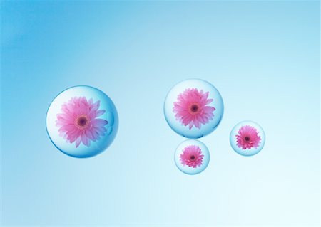 sphere - Flowers within sphere Stock Photo - Premium Royalty-Free, Code: 670-03607411