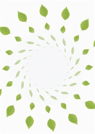 swirl - Green leaf image Stock Photo - Premium Royalty-Free, Code: 670-03607471