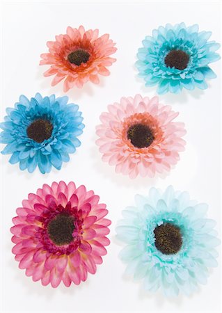 simsearch:670-06450573,k - Colorful flowers Stock Photo - Premium Royalty-Free, Code: 670-03709054