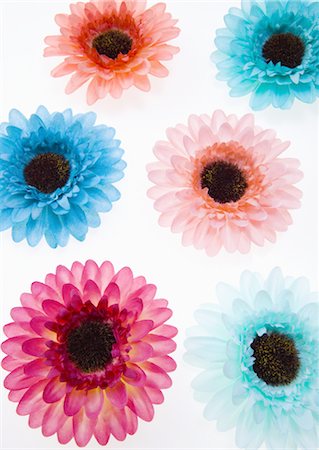 simsearch:670-06450573,k - Colorful flowers Stock Photo - Premium Royalty-Free, Code: 670-03709053
