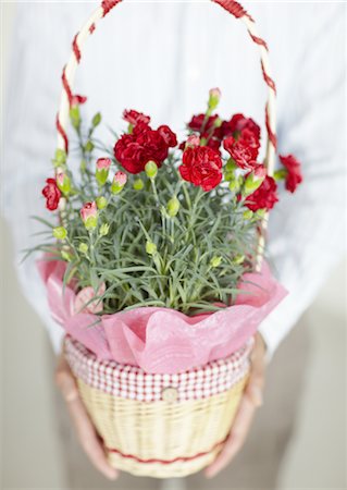 Man holding carnation flowers Stock Photo - Premium Royalty-Free, Code: 670-03709998