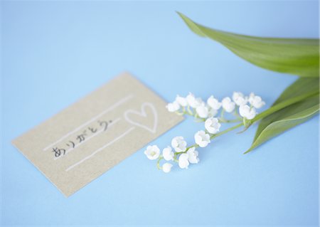 Lily of the valley and message card Stock Photo - Premium Royalty-Free, Code: 670-03710016
