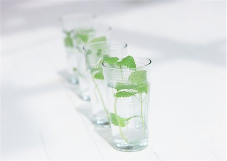 simsearch:670-03734272,k - Eau de menthe Photographie de stock - Premium Libres de Droits, Code: 670-03885579