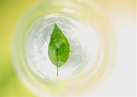 Leaves and ripples Stock Photo - Premium Royalty-Free, Code: 670-03885604