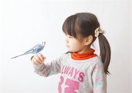 Girl with budgerigar Stock Photo - Premium Royalty-Free, Code: 670-03886297