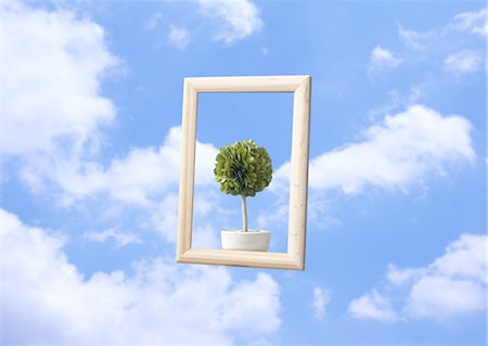 simsearch:670-04249663,k - Cadre et plante en pot, flottant dans le ciel bleu Photographie de stock - Premium Libres de Droits, Code: 670-03886337