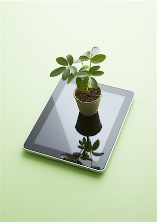 ecology - Tablet PC and potted plant Stock Photo - Premium Royalty-Free, Code: 670-03886571