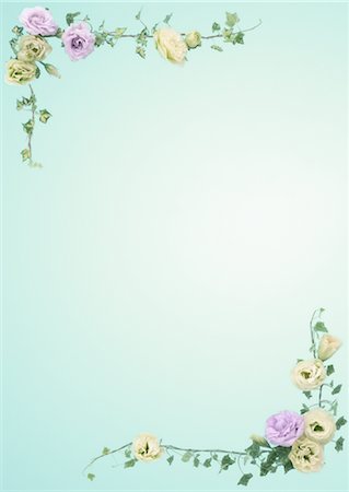 floral - Cadre fleur Photographie de stock - Premium Libres de Droits, Code: 670-03887063