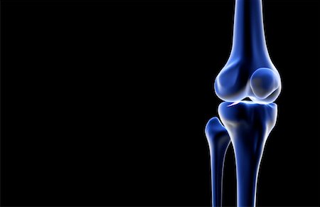 The bones of the knee Foto de stock - Sin royalties Premium, Código: 671-02094368