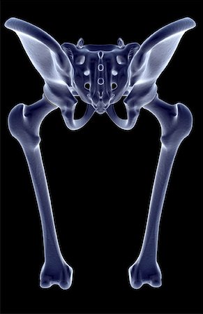 simsearch:671-02098509,k - The bones of the lower limb Foto de stock - Sin royalties Premium, Código: 671-02094919