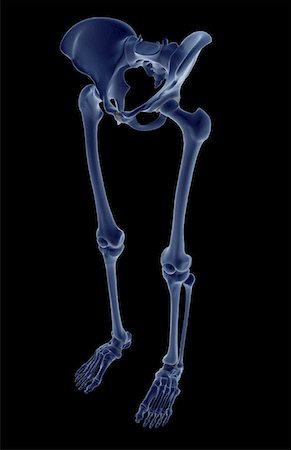 Curved tibia hi-res stock photography and images - Alamy