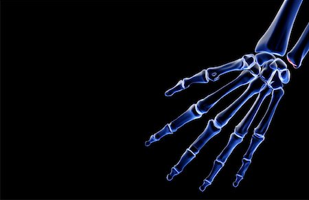 The bones of the hand Stock Photo - Premium Royalty-Free, Code: 671-02095028