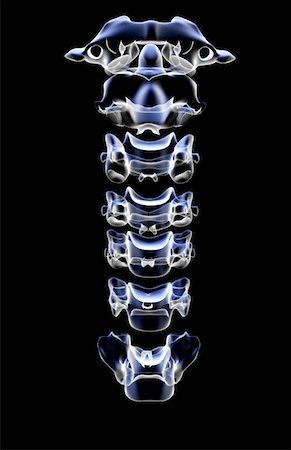 The cervical vertebrae Foto de stock - Sin royalties Premium, Código: 671-02096559
