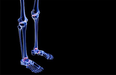 Curved tibia hi-res stock photography and images - Alamy