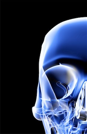 The bones of the face Stock Photo - Premium Royalty-Free, Code: 671-02097603