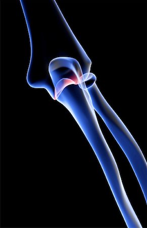 simsearch:671-02101509,k - The bones of the elbow Stock Photo - Premium Royalty-Free, Code: 671-02097983