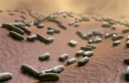 Bacteria Stock Photo - Premium Royalty-Free, Code: 671-02098950