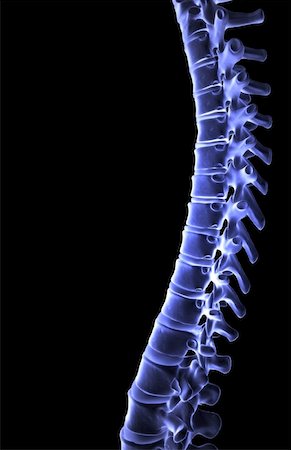 Vertebral column Foto de stock - Sin royalties Premium, Código: 671-02099281