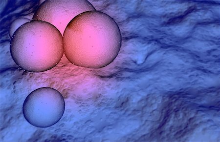 The structure of MRSA Stock Photo - Premium Royalty-Free, Code: 671-02100108