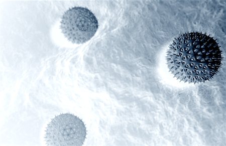 pollen - Pollen Photographie de stock - Premium Libres de Droits, Code: 671-02100246