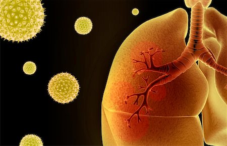 pollen - Asthme Photographie de stock - Premium Libres de Droits, Code: 671-02100580