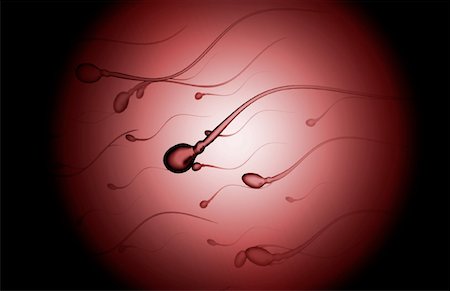 Sperm Stock Photo - Premium Royalty-Free, Code: 671-02101161