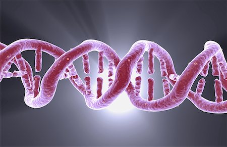 dna helix - DNA structure Stock Photo - Premium Royalty-Free, Code: 671-02101260