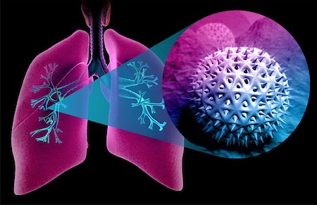 pollen - Asthme Photographie de stock - Premium Libres de Droits, Code: 671-02101392