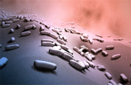 simsearch:671-02101454,k - Rod shaped bacteria Stock Photo - Premium Royalty-Free, Code: 671-02101484