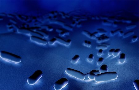 simsearch:671-02101641,k - Rod-shaped bacteria Stock Photo - Premium Royalty-Free, Code: 671-02101531