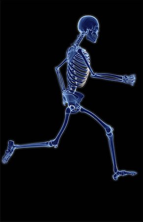 skeleton of a person running - The skeletal system Stock Photo - Premium Royalty-Free, Code: 671-02101745