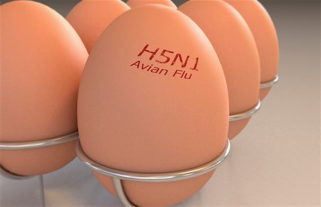 simsearch:671-02102849,k - Eggs branded with 'Avian flu' Foto de stock - Sin royalties Premium, Código: 671-02102008