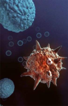 détail microscopique - Virus Photographie de stock - Premium Libres de Droits, Code: 671-02102027