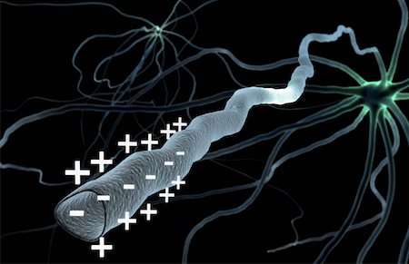 simsearch:671-02102028,k - Nerve impulse Foto de stock - Royalty Free Premium, Número: 671-02102020