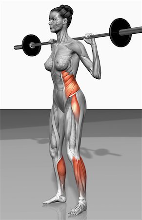Barbell squat exercises (Part 2 of 2) Stock Photo - Premium Royalty-Free, Code: 671-02102079