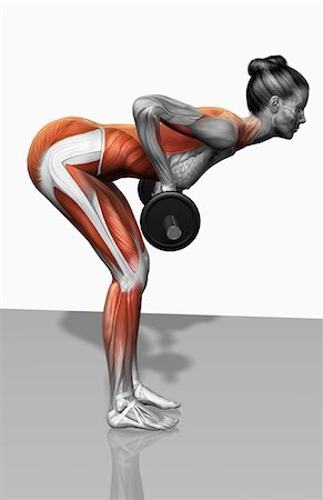 Barbell bent over row exercises (Part 1 of 2) Stock Photo - Premium Royalty-Free, Code: 671-02102073