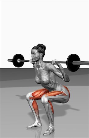 rectus femoris exercises - Barbell squat exercises (Part 1 of 2) Stock Photo - Premium Royalty-Free, Code: 671-02102081