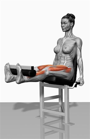 rectus femoris exercises - Lever leg extensions Stock Photo - Premium Royalty-Free, Code: 671-02102173