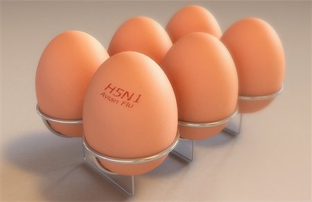 simsearch:671-02102849,k - Eggs branded with 'Avian flu' Foto de stock - Sin royalties Premium, Código: 671-02102183