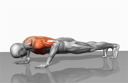 pushups - Push up (Part 1 of 2) Stock Photo - Premium Royalty-Free, Code: 671-02102203