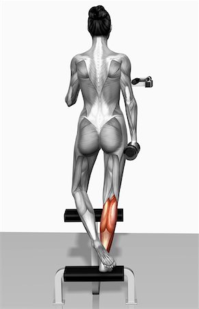 simsearch:671-02102166,k - Dumbbell single leg calf raise Fotografie stock - Premium Royalty-Free, Codice: 671-02102286