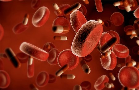 red blood cell - Drug absorption Stock Photo - Premium Royalty-Free, Code: 671-02102490